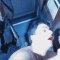 Animated Gif of the Day – Happy Friday the 13th!