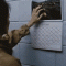 Animated Gif of the Day