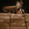 Animated Gif of the Day