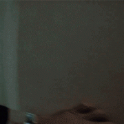 Animated Gif of the Day
