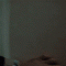 Animated Gif of the Day