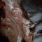 Animated Gif of the Day