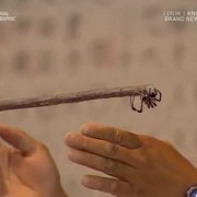 You Should Watch This: SAMURAI SPIDERS