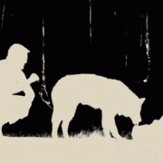 Animated Gif of the Day