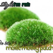 She’s Right, I’m Rob Episode 25: Moist Mossy Patch